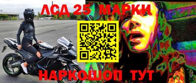 стаф Берёзовский