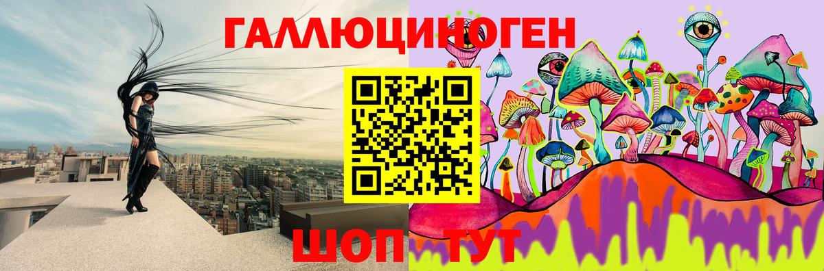 Вышний Волочёк  Галлюциногенные грибы ЛСД  Вход с VPN 